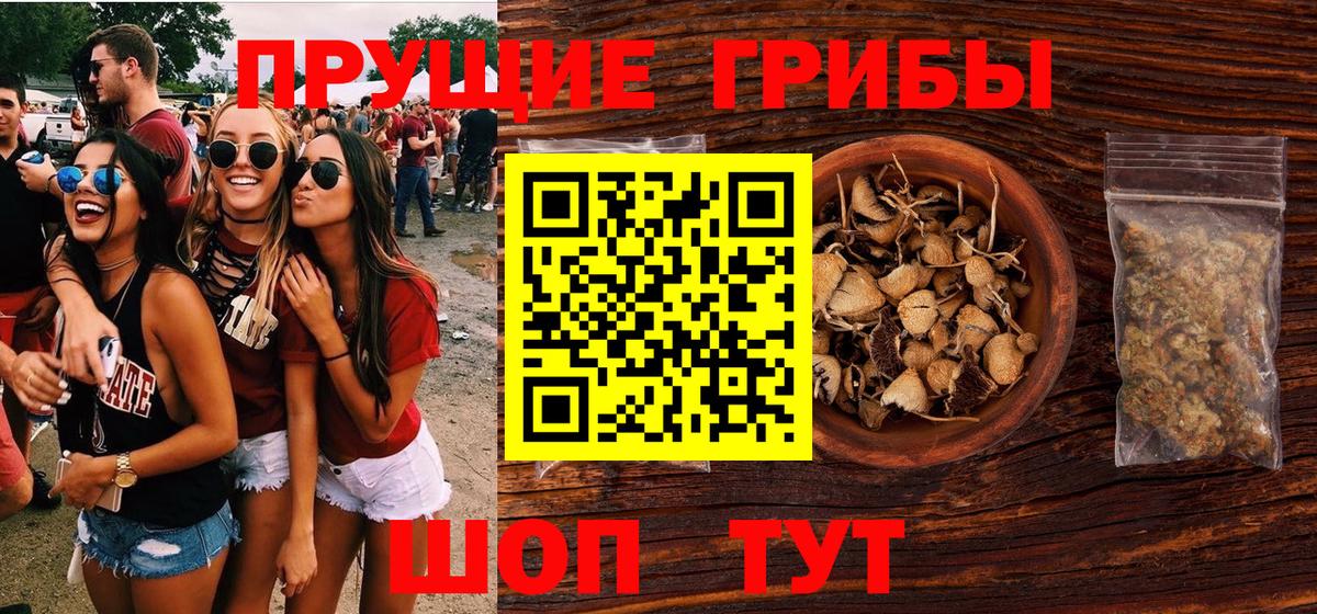 Галлюциногенные грибы Cubensis  Вход с VPN  Прокопьевск 